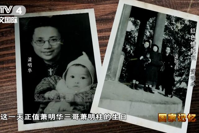 然坚持传递情报：我可以招先让我见我哥哥凯发k8国际娱乐首选奉命潜伏被抓捕后依(图2)