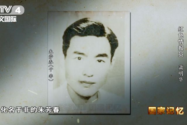 然坚持传递情报：我可以招先让我见我哥哥凯发k8国际娱乐首选奉命潜伏被抓捕后依(图14)